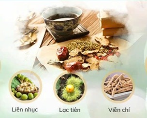 Mất ngủ, rối loạn tiền đình – đừng để lâu! đông y có giải pháp chữa trị tận gốc